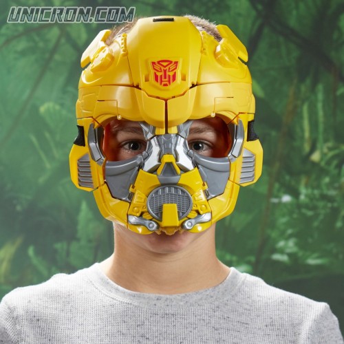 maskbumblebee02 maskbumblebee02