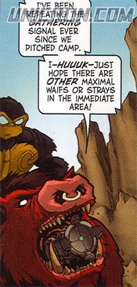 razorbeast2h razorbeast2h