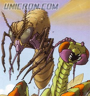 transquito2a transquito2a