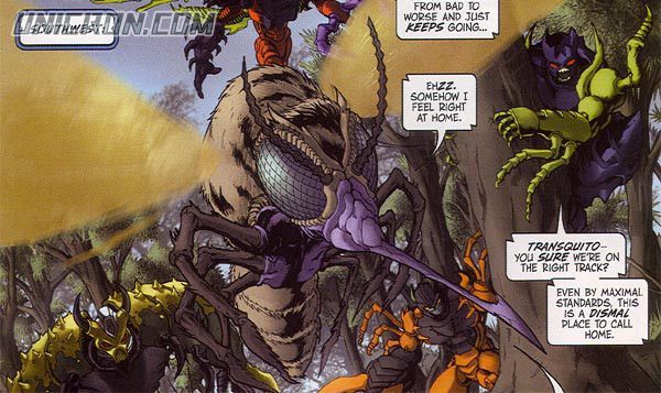 transquito2c transquito2c