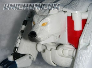 Transformers Beast Wars Polar Claw toy Transformers Beast Wars Polar Claw toy