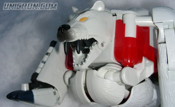 Transformers Beast Wars Polar Claw toy Transformers Beast Wars Polar Claw toy