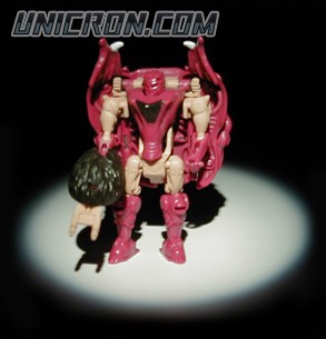 Transformers Beast Wars Razorbeast toy Transformers Beast Wars Razorbeast toy
