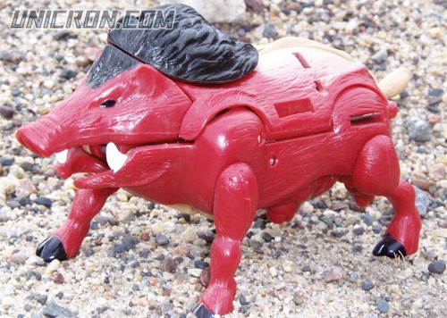Transformers Beast Wars Razorbeast toy Transformers Beast Wars Razorbeast toy