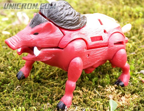 Transformers Beast Wars Razorbeast toy Transformers Beast Wars Razorbeast toy