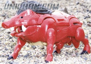 Transformers Beast Wars Razorbeast toy Transformers Beast Wars Razorbeast toy