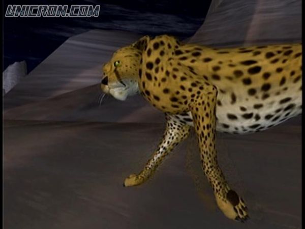 BEAST WARS 2 008 BEAST WARS 2 008