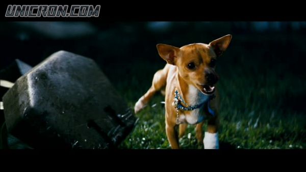 snap cap00596 snap cap00596