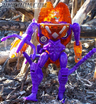 Transformers Beast Wars Drill Bit toy Transformers Beast Wars Drill Bit toy