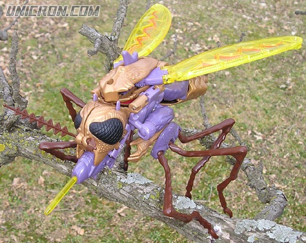 Transformers Beast Wars Transquito toy Transformers Beast Wars Transquito toy