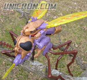 Transformers Beast Wars Transquito toy Transformers Beast Wars Transquito toy