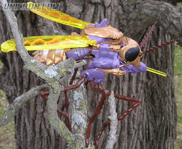 Transformers Beast Wars Transquito toy Transformers Beast Wars Transquito toy