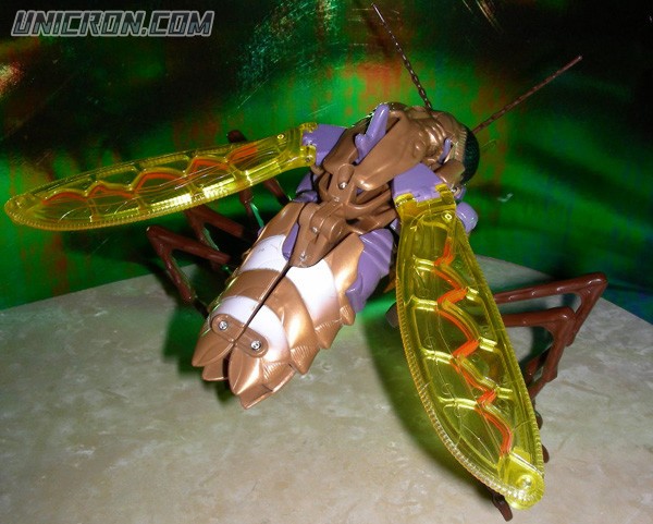 Transformers Beast Wars Transquito toy Transformers Beast Wars Transquito toy