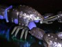 Transformers Beast Wars Tripredacus (Ram Horn, Sea Clamp, Cicadacon) toy