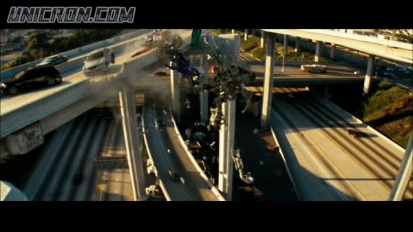 snap cap00981 snap cap00981