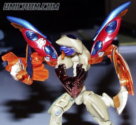 hammerstrike1 hammerstrike1