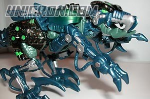 rapticon2b rapticon2b