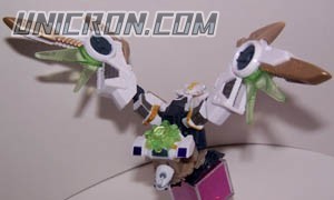 divebomb2c divebomb2c