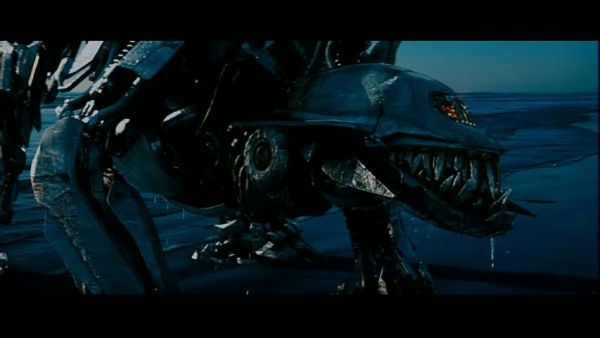 snap cap00581 snap cap00581