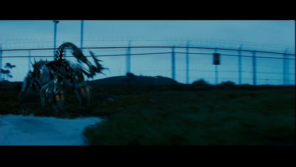 snap cap00583 snap cap00583