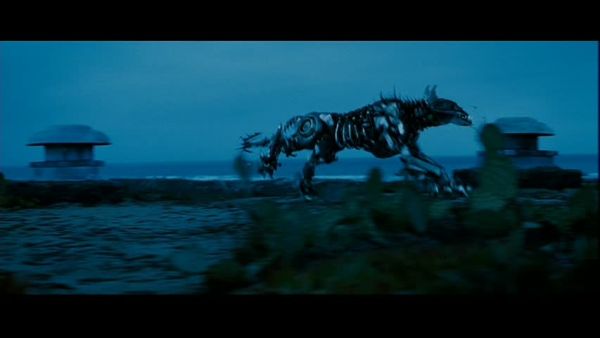 snap cap00588 snap cap00588