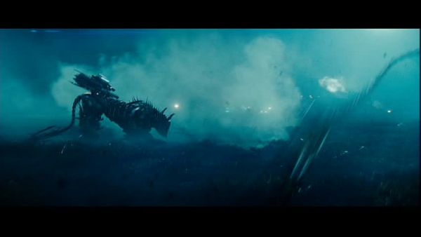 snap cap00617 snap cap00617