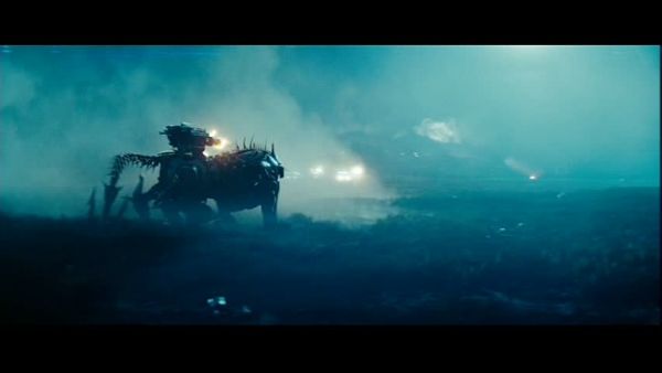 snap cap00618 snap cap00618