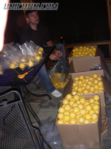 vectorsigma DSCN4016 vectorsigma DSCN4016