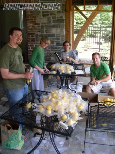 vectorsigma DSCN4025 vectorsigma DSCN4025