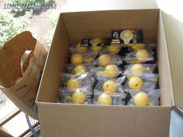 vectorsigma DSCN4026 vectorsigma DSCN4026