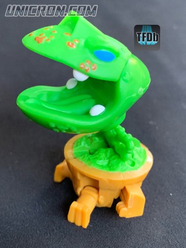venusfrogtrap 11  venusfrogtrap 11