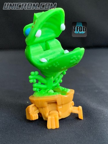 venusfrogtrap 12  venusfrogtrap 12