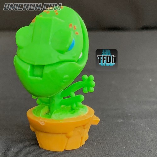 venusfrogtrap 7  venusfrogtrap 7