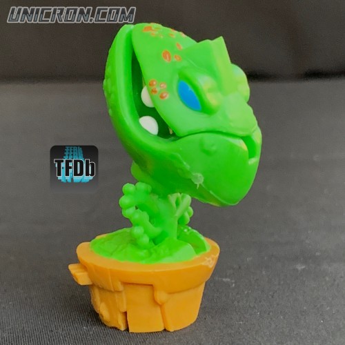 venusfrogtrap 8  venusfrogtrap 8