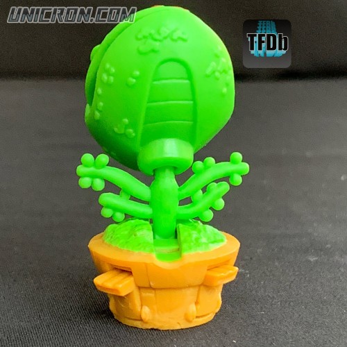 venusfrogtrap 9  venusfrogtrap 9