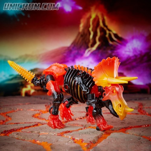 Tricranius006 Tricranius006