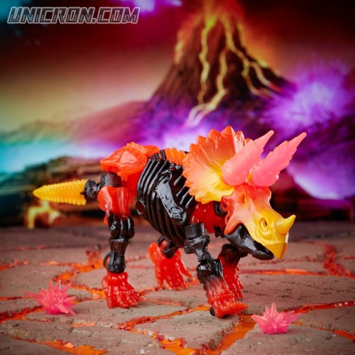 Tricranius007 Tricranius007