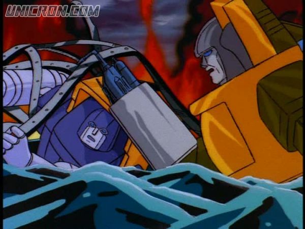 snap cap00455 snap cap00455