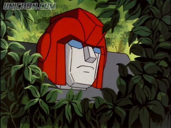 tf rotf00898 tf rotf00898