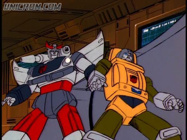 snap cap00176 snap cap00176