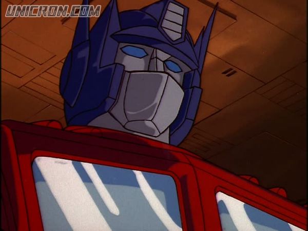 tf rotf00335 tf rotf00335