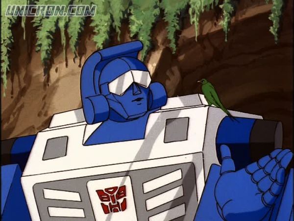tf rotf00036 tf rotf00036