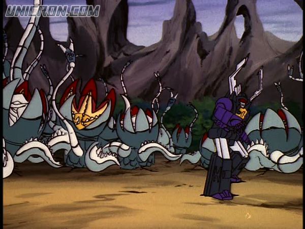 tf rotf00202 tf rotf00202
