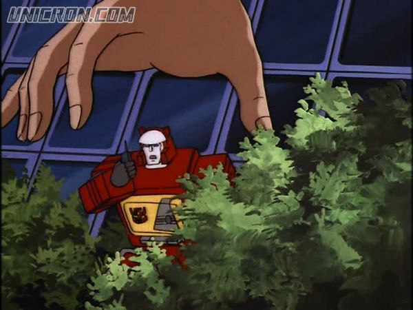 tf rotf00502 tf rotf00502