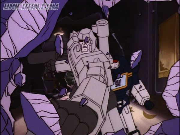 tf rotf00239 tf rotf00239