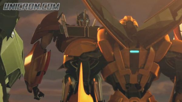 tf rotf00137 tf rotf00137