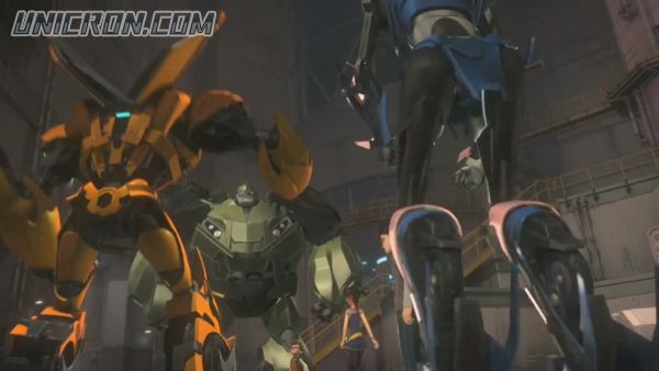 tf rotf00305 tf rotf00305