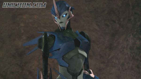 tf rotf00061 tf rotf00061