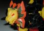 Transformers Generation 1 Razorclaw (Predacon) toy