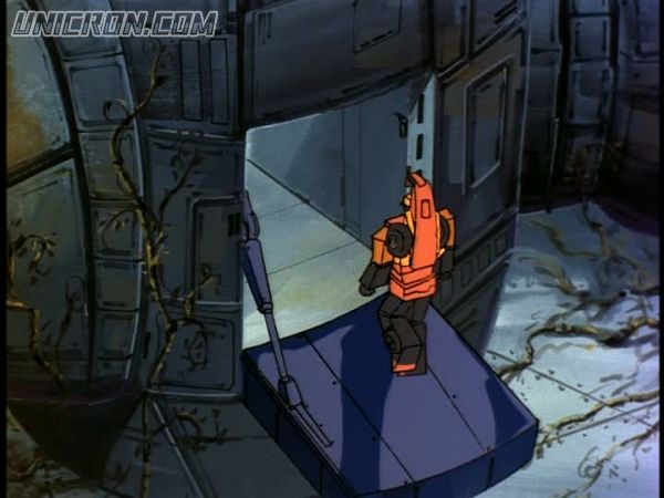 tf rotf00238 tf rotf00238